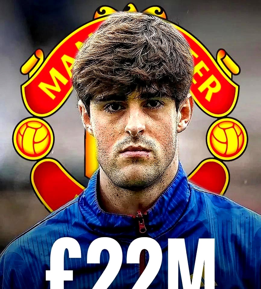 BOB体育官方斯图加特训练开放日，转会期强势反弹引欢呼，英超在即，年轻球员得到机会的简单介绍